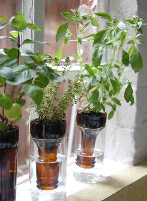 DIY Plant Waterers out of Glass
